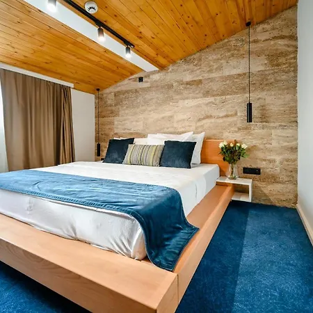 Borovi Forest & 酒店 谢尼察