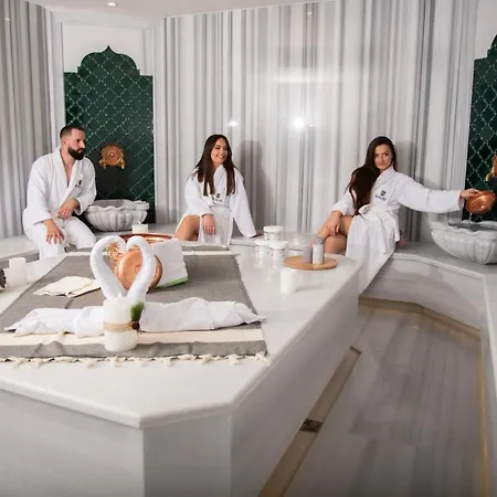 Borovi Forest & Sjenica