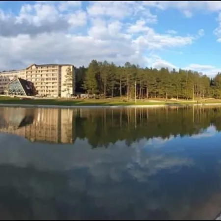 Borovi Forest & Hotel 4*
