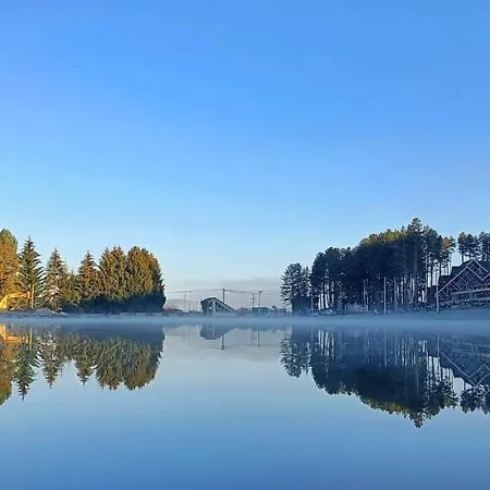 Borovi Forest & 酒店 谢尼察