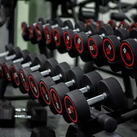 Borovi Forest & 4* 谢尼察