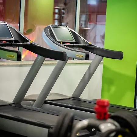 Borovi Forest & 谢尼察