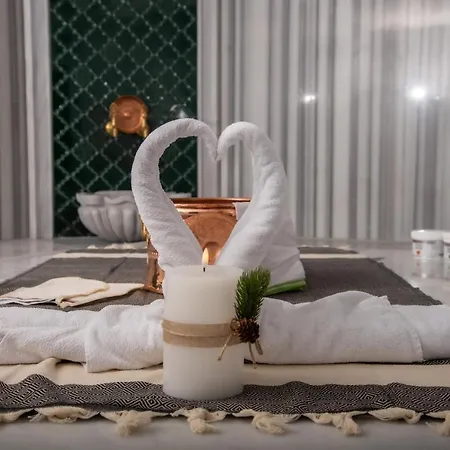 Borovi Forest & 谢尼察