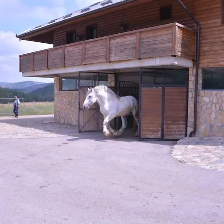 Borovi Forest & Hotel 4*