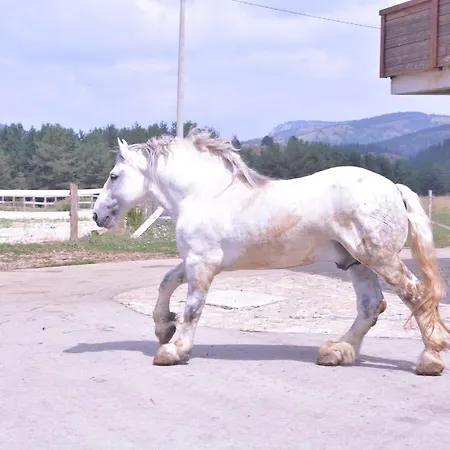 Borovi Forest & Hotel Sjenica