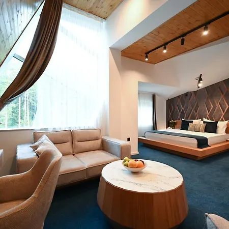 Borovi Forest & 4* Sjenica