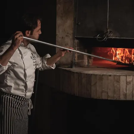 Borovi Forest & 酒店