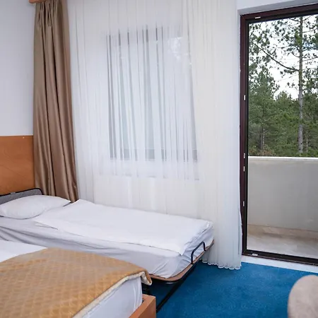 Hotel Borovi Forest & 4*