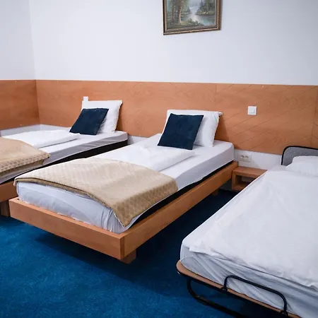 Hotel Borovi Forest & Sjenica