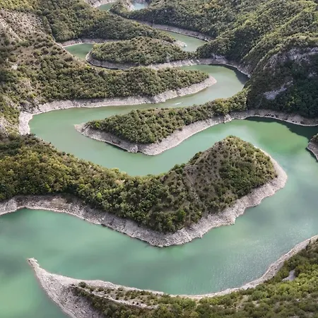 Borovi Forest & 酒店 4*