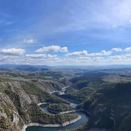 Borovi Forest & Hotel 4*