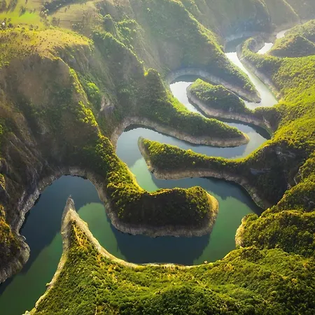 酒店 Borovi Forest & 4*